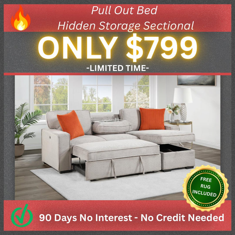 Pull Out Bed Hidden Storage Sectional